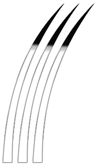 Poil chinchilla