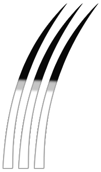 Poil silver